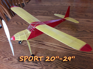 20-29-in-sport.jpg