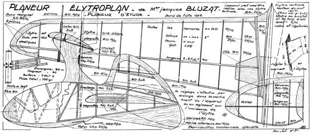 Elytroplan illus