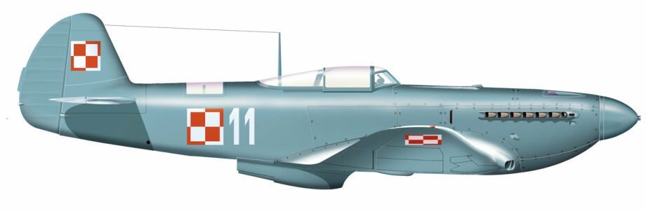 jak_9P_wite11.jpg