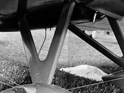 Brown B2 Air Racer