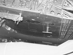 Curtiss_Helldiver