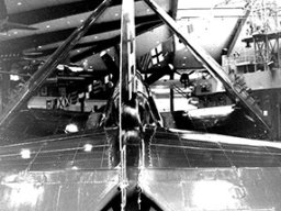 Curtiss_Helldiver