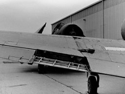 Curtiss_Helldiver