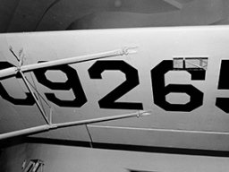 Curtiss-Robin