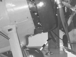 Curtiss-Sparrowhawk