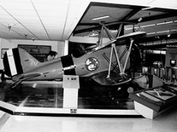 Curtiss-Sparrowhawk