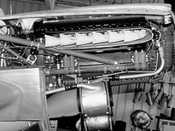 Curtiss_Warhawk