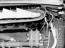 Curtiss_Warhawk