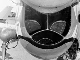Curtiss_Warhawk
