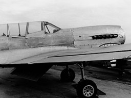 Curtiss_Warhawk