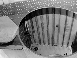 Curtiss_Warhawk