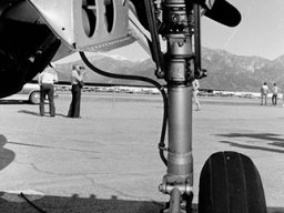 Curtiss_Warhawk