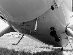 Fairchild_24_Ranger