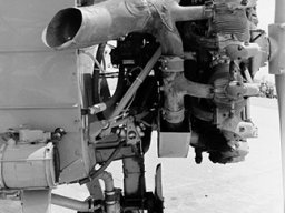 Grumman_Agcat
