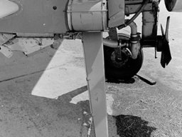 Grumman_Agcat
