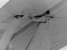 Grumman_Agcat