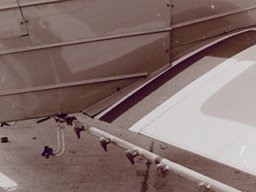 Grumman_Agcat