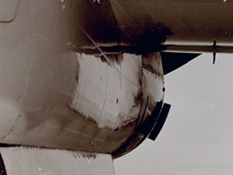 Grumman C1 Trader