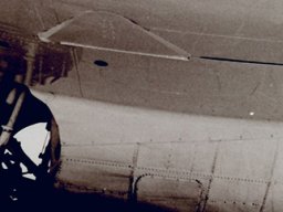 Grumman F4F Wildcat
