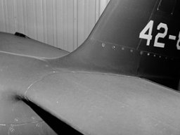 N.A.A. A-36a Mustang