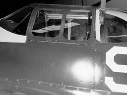N.A.A. A-36a Mustang
