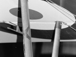 Nieuport 11 bebe