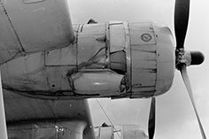 Consolidated_PBY_catalina