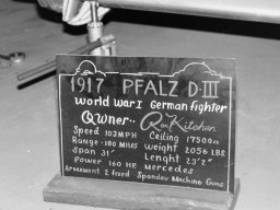 Pfalz D III