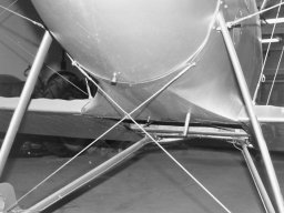 Pfalz D III
