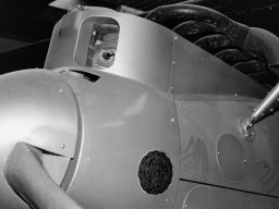 Pfalz D III