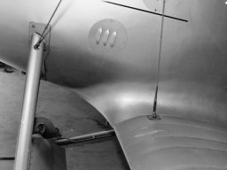Pfalz D III