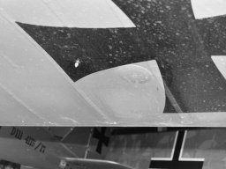 Pfalz D III