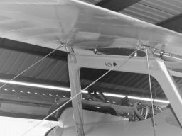 Pfalz D III