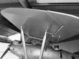 Pfalz D III