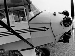 Porterfield Roustabout