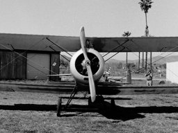 Sopwith Strutter