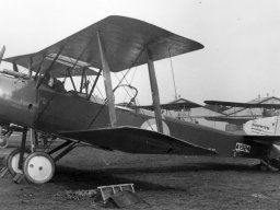 Sopwith Strutter