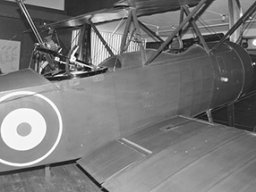 Sopwith Strutter