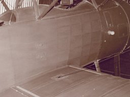 Sopwith Strutter