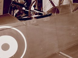 Sopwith Strutter