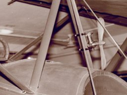 Sopwith Strutter