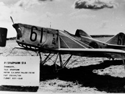 Sparmann P-1