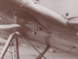 Sparmann P-1