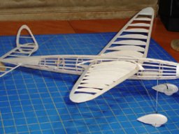 Member's Models