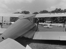 WACO QCD