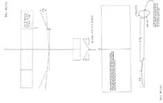 texad bull weevle illus