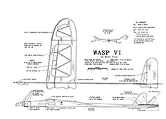 wasp 6 illus