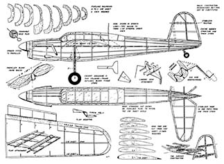 barracuda illus