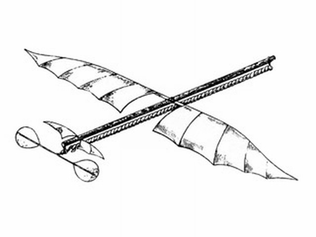 planophore illus