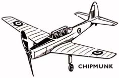 frog chipmunk illus
